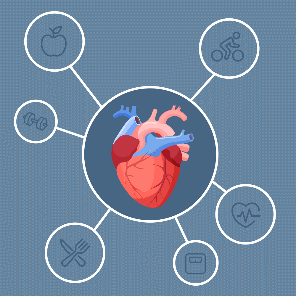 What Is Heart Disease? Cardiovascular Health Problems Explained