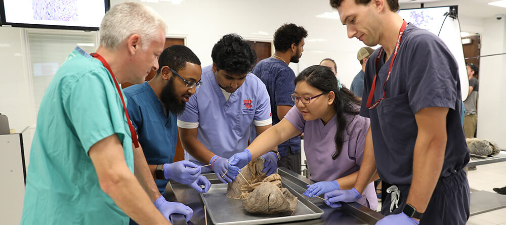 SGU medical students examine cadaver organs in a classroom setting