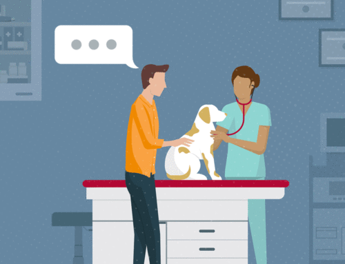 8 Things You Should Know Before Becoming a Veterinarian