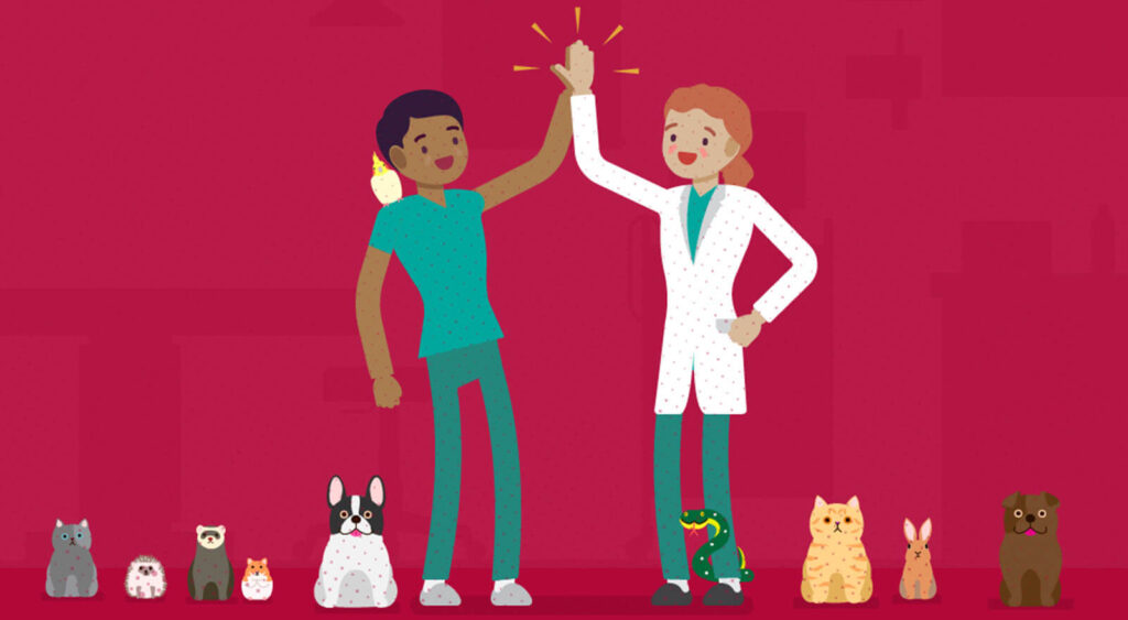 illustration of two veterinarians high fiving
