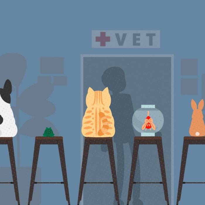 Veterinarians
veterinarians around me
veterinarians at court square
veterinarians act
veterinarians albany ny
veterinarians average salary
veterinarians around my area
veterinarians accepting new patients
veterinarians albuquerque
veterinarians near me