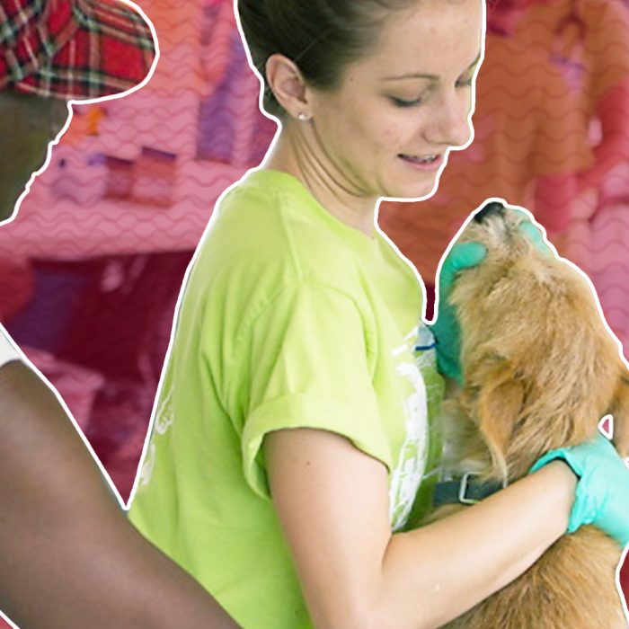 7 Signs You Should Consider a Career in Veterinary Medicine Square