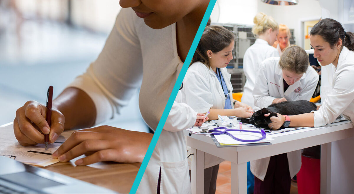 Vet School Applications and Vet School Requirements SGU