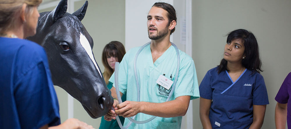 SGU veterinary students gaining hands-on training