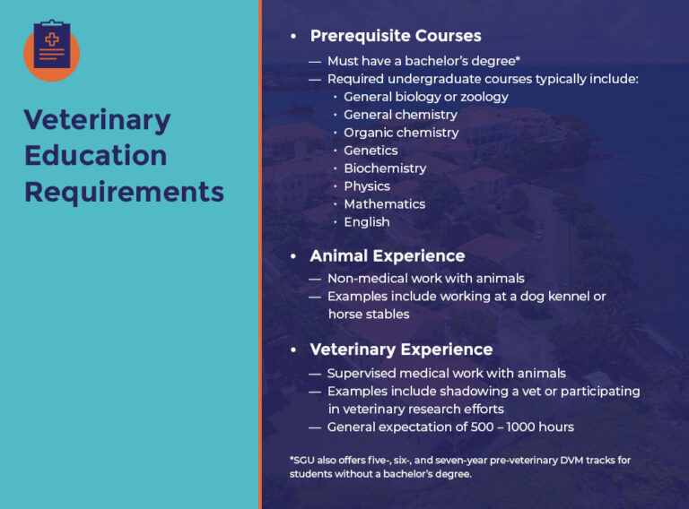 Breaking Down Veterinary Education Requirements Veterinary Blog