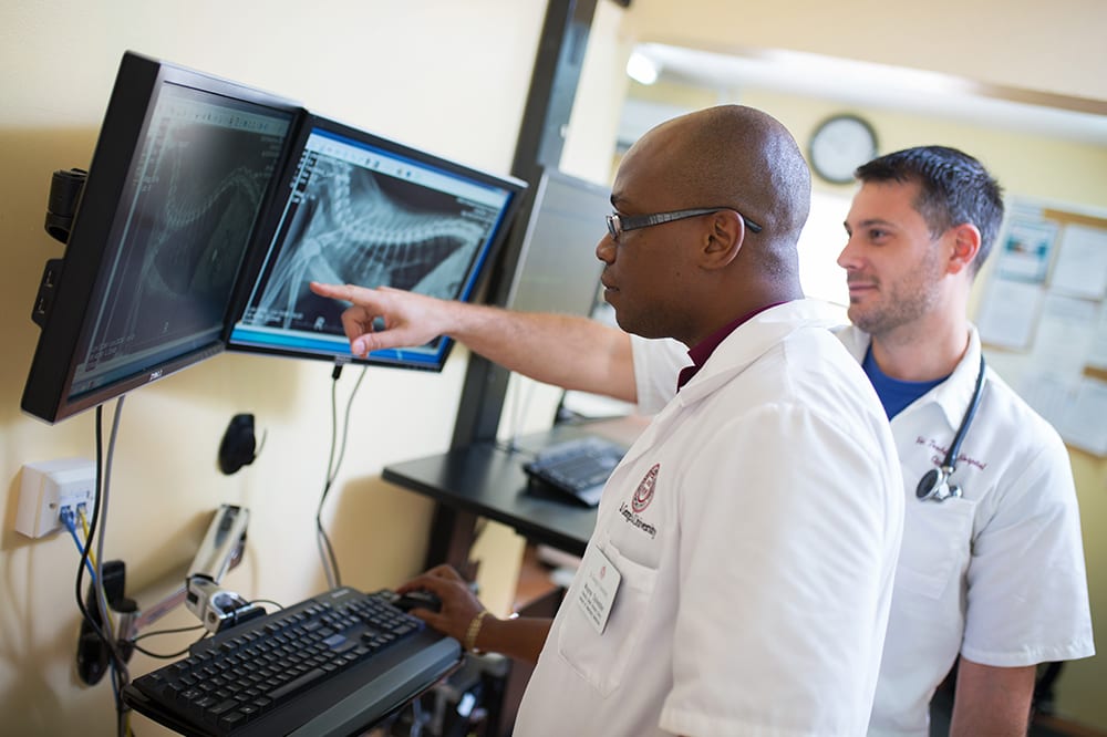 SGU-vet-with-xray