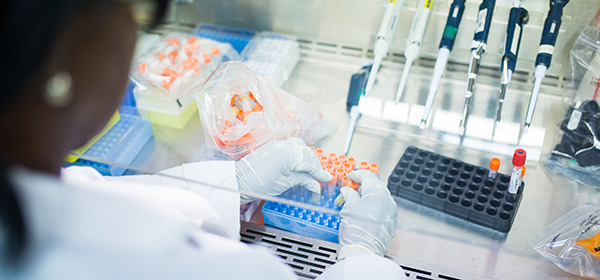 BSc Biology Degree