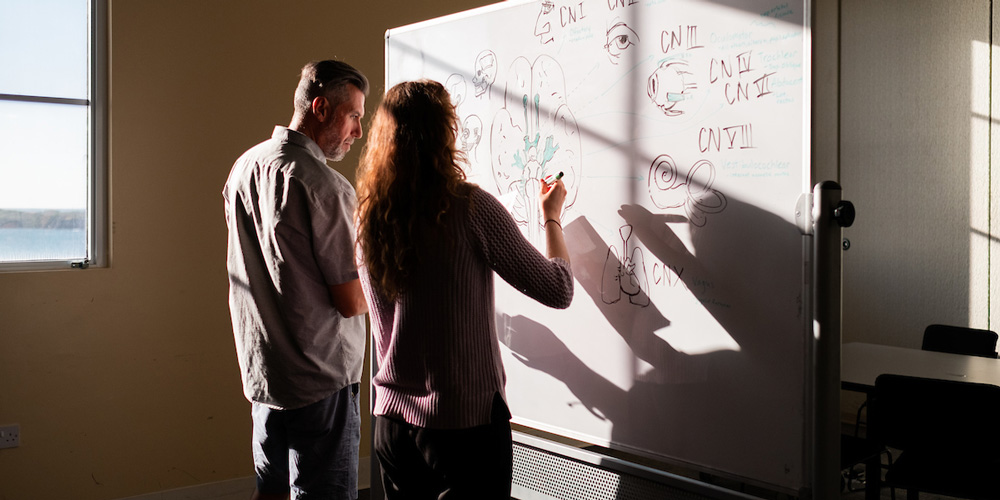 Students using whiteboard
