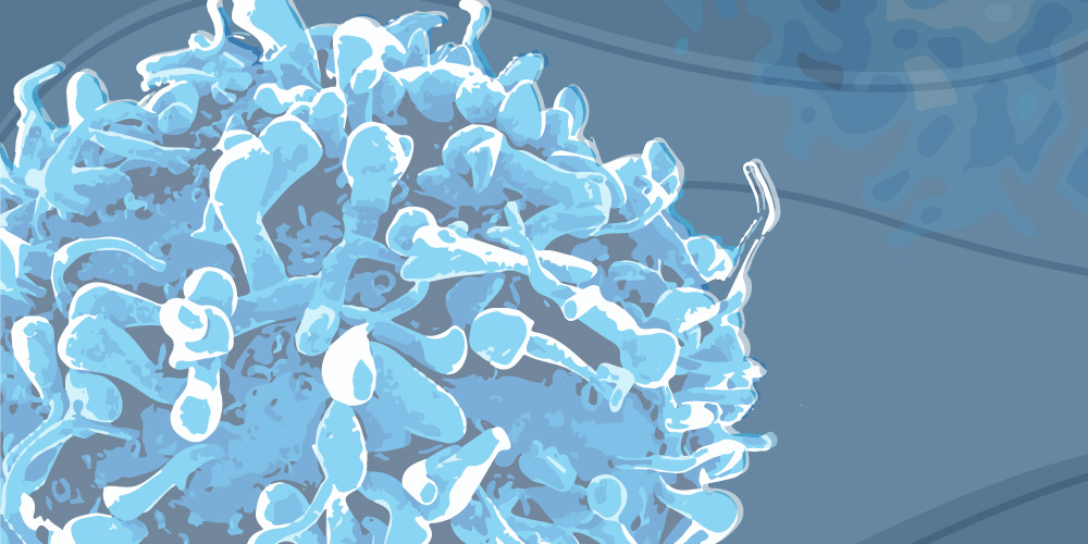 Flu FAQs answered