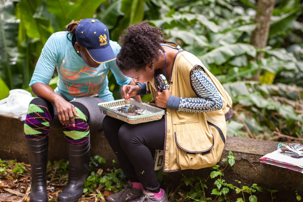 SGU Biology Degree