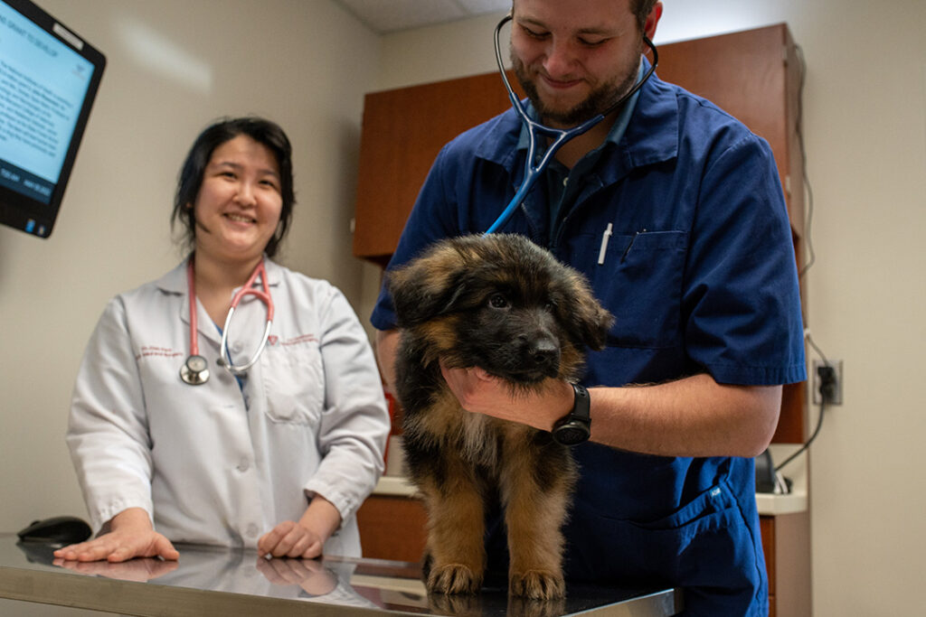 SGU Doctor of Medicine Program