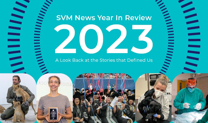 2023 Year In Review News