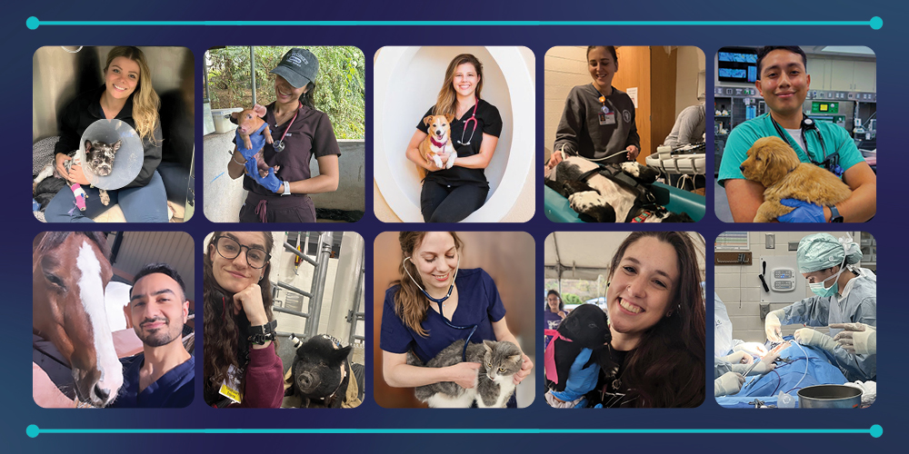 SVM grad collage|Kristi Cerami