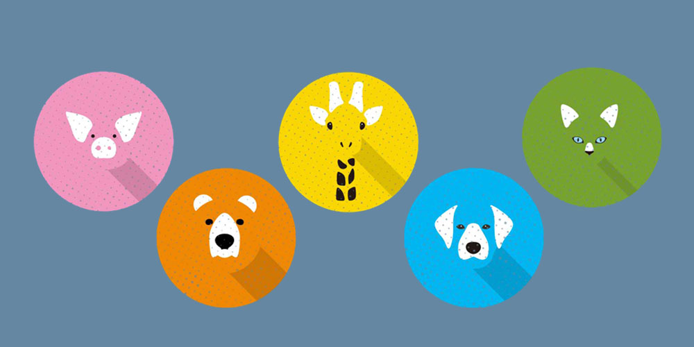 5 Types of Veterinarians