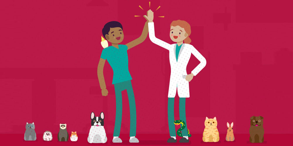 illustration of two veterinarians high fiving