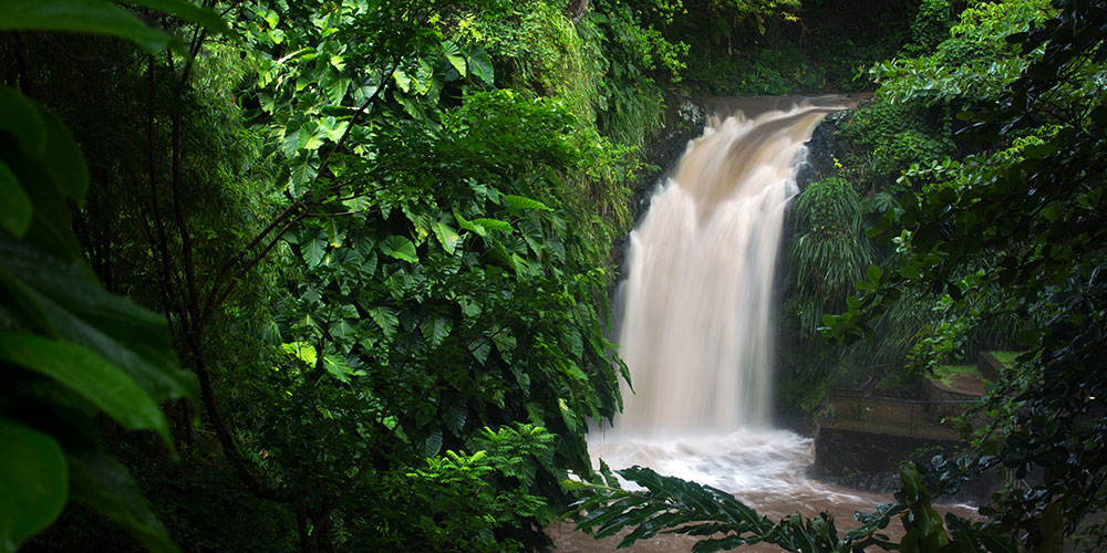 Waterfall