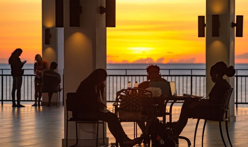 Students studying at sunset News