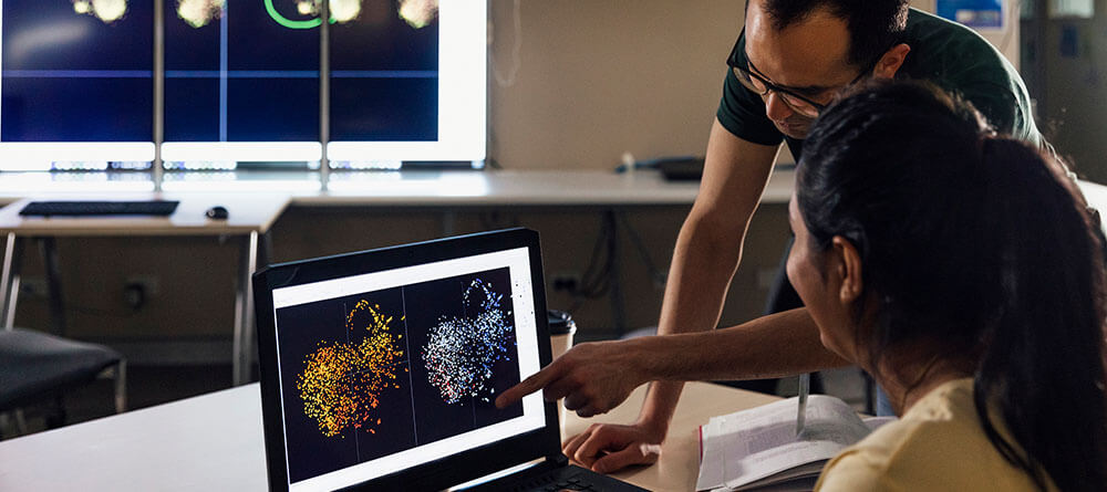 SGU students review information on a monitor