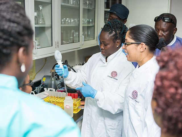 Students doing research