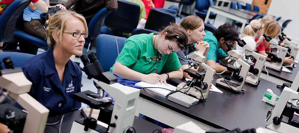 Students working in lab with microscopes.