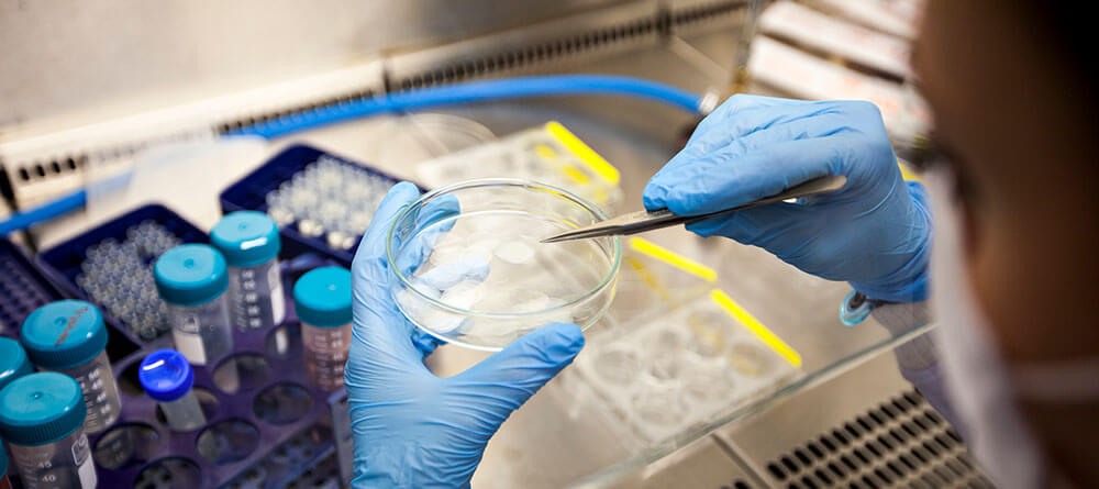 A forensic pathologist examines a lab sample in a petri dish